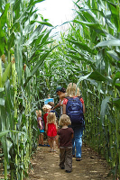 Beech Hill Corn Mazes - 2023