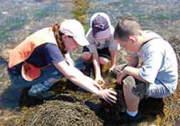 Sea Coast Science Center